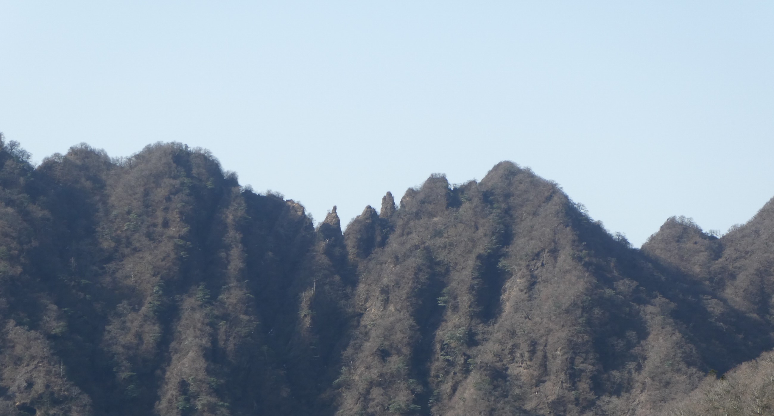 愛鷹山 鋸岳縦走 黒岳 越前岳 鋸岳 位牌岳 前岳 03 21 Kunsanさんの愛鷹山 大岳 黒岳の活動データ Yamap ヤマップ