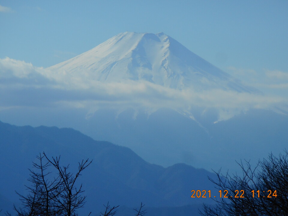 扇山 往復コースの地図・登山ルート・登山口情報 | YAMAP / ヤマップ