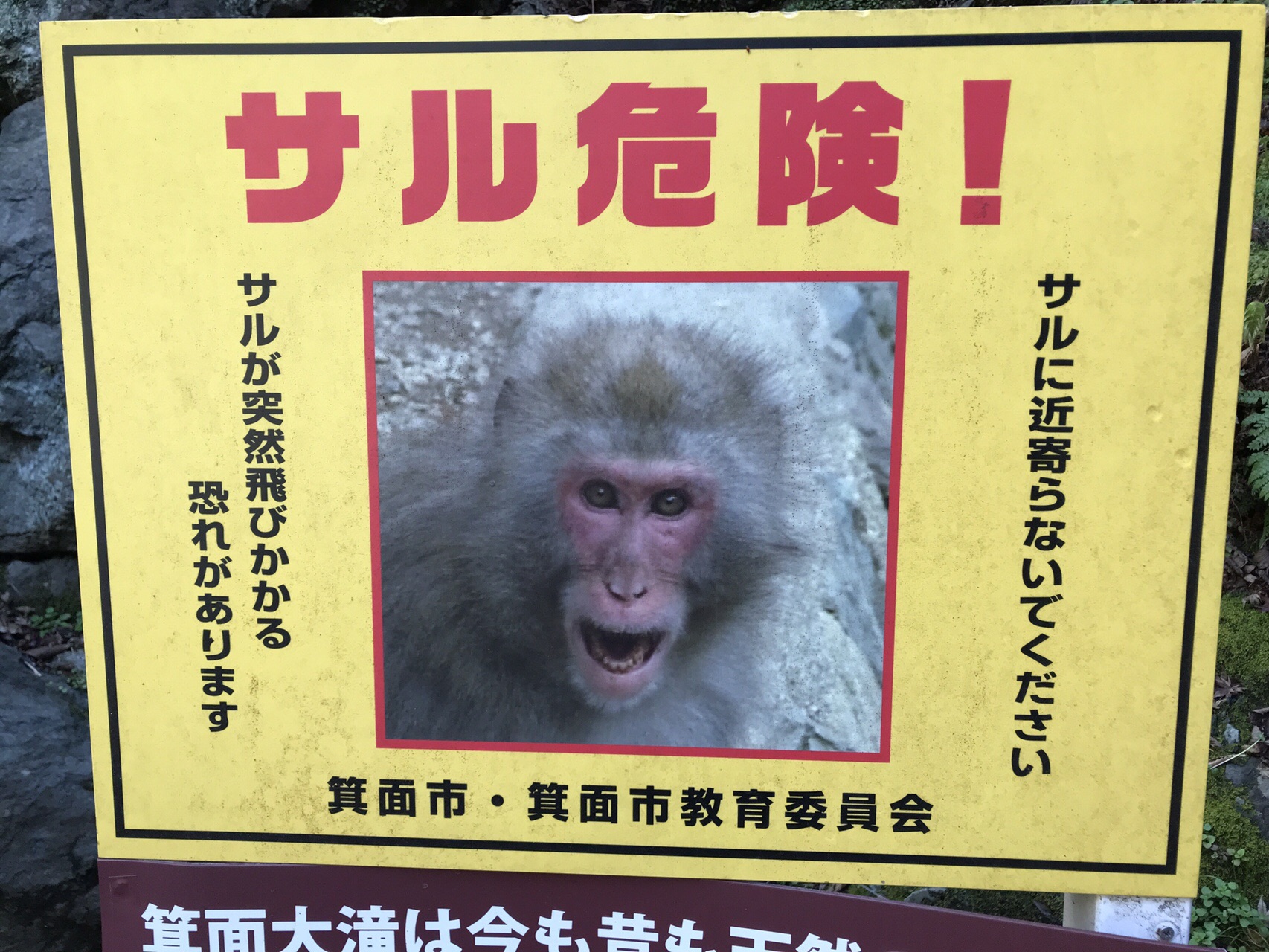 箕面の滝でおサルさんと遭遇 ぼっち登山マンさんの六個山 鉢伏山 明ヶ田尾山 五月山の活動日記 Yamap ヤマップ