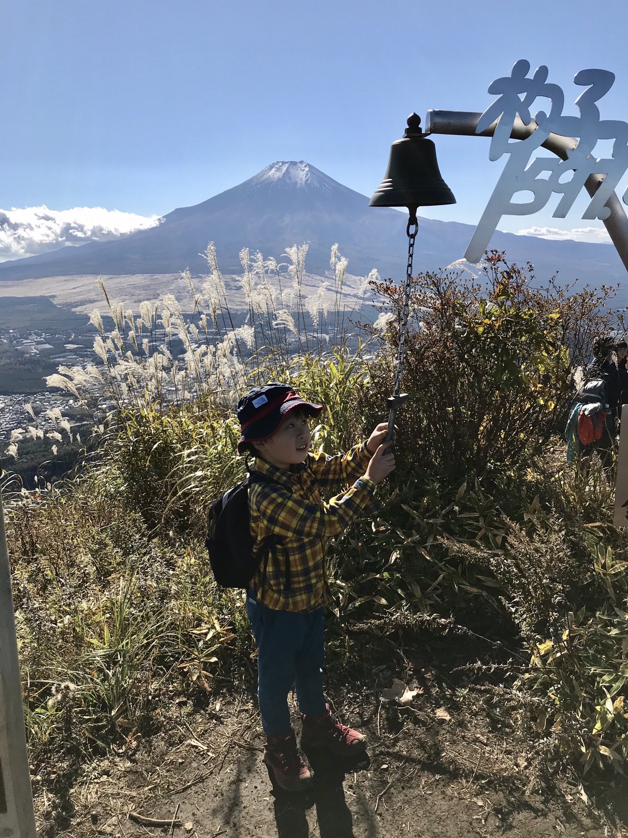 キャンパーズコレクション マスコットテーブル 幅56奥行34 Ymt 3456 山善 Yamazen テーブル Amazon