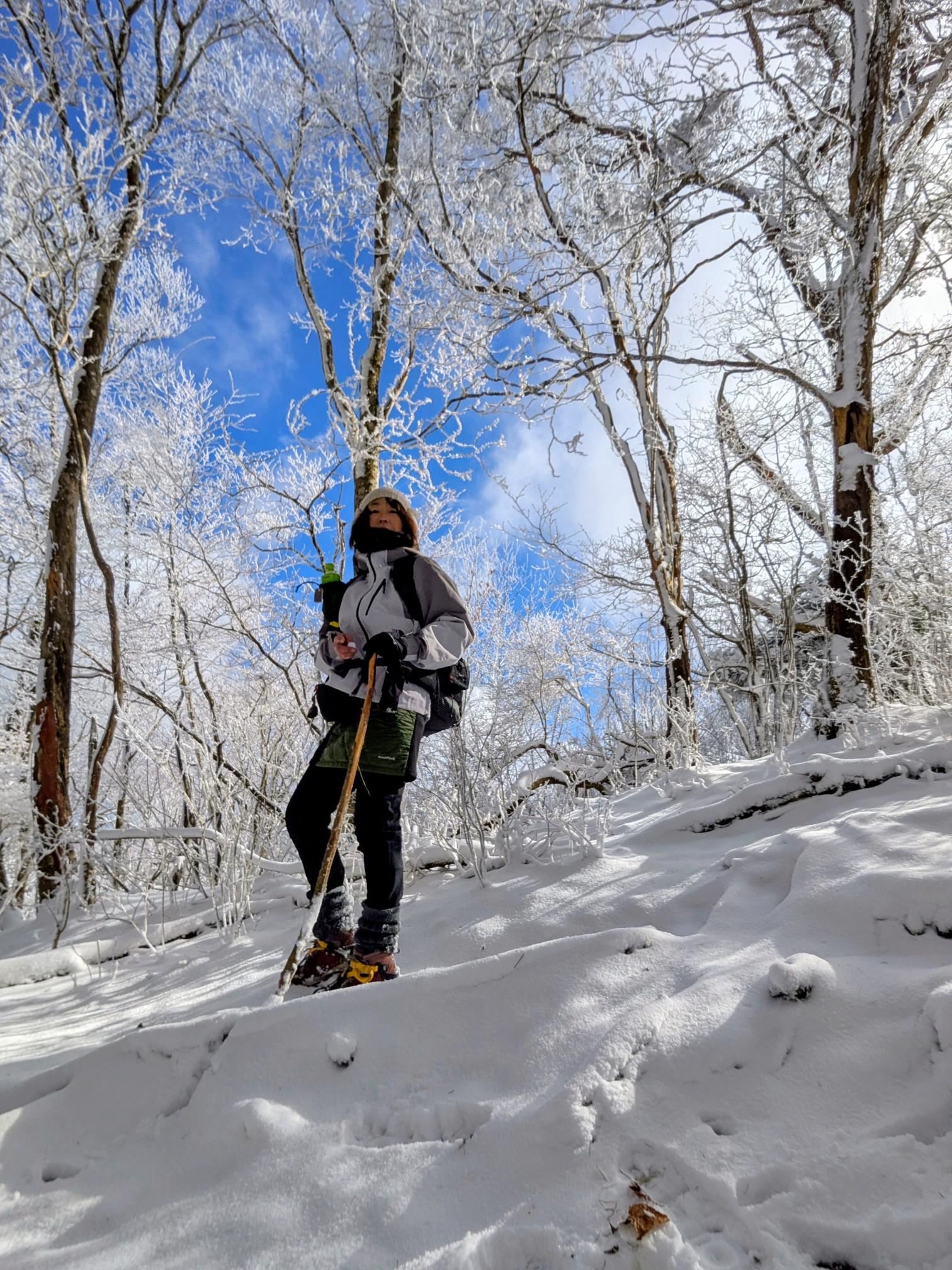 first snow✨❄寧比曽岳 / ❀みもざ❀Messtinsさんの寧比曽岳・筈ヶ岳