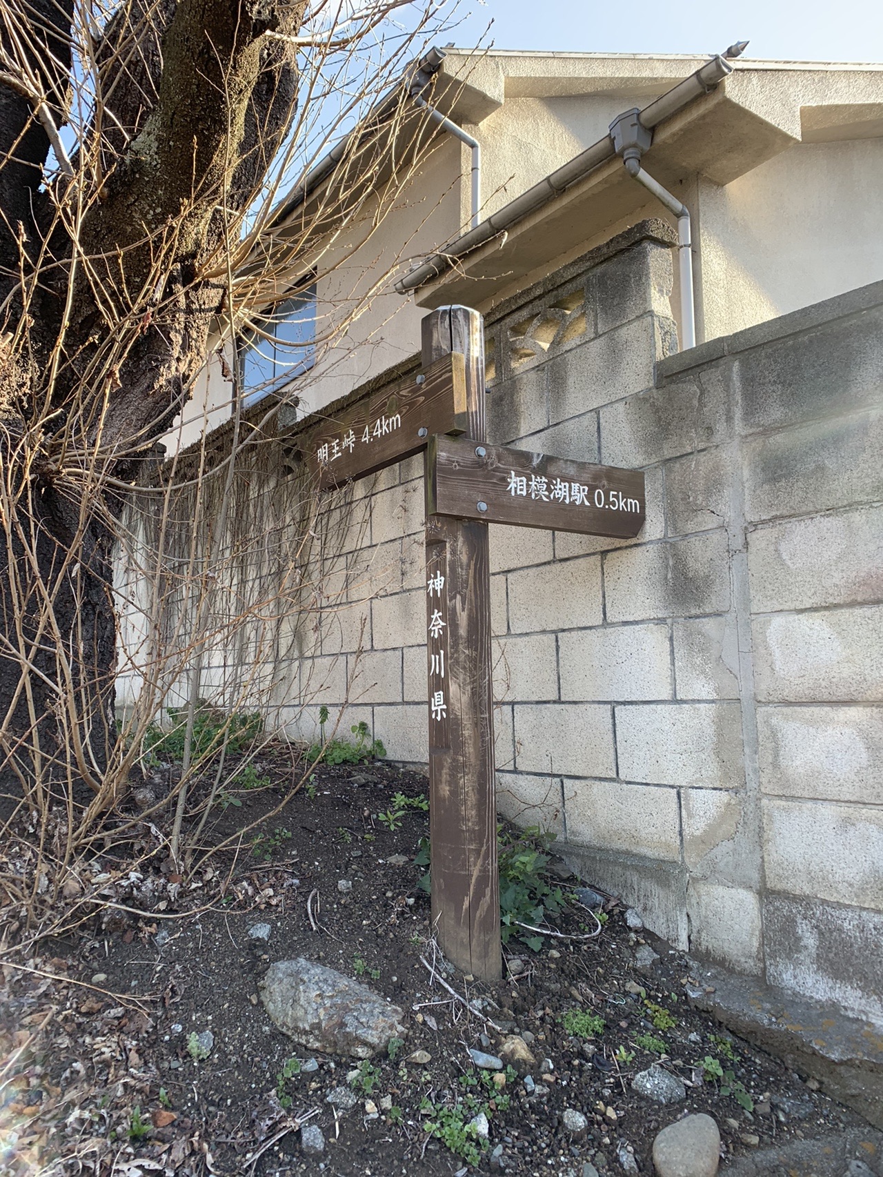 嬢ケ塚探訪と奥高尾縦走 03 17 ムスカ大佐さんの高尾山 陣馬山 景信山の活動日記 Yamap ヤマップ