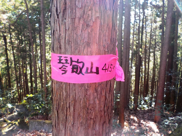 奥武蔵西吾野 伊豆ヶ岳 綺矯丸さんの武甲山 伊豆ヶ岳 小持山の活動日記 Yamap ヤマップ