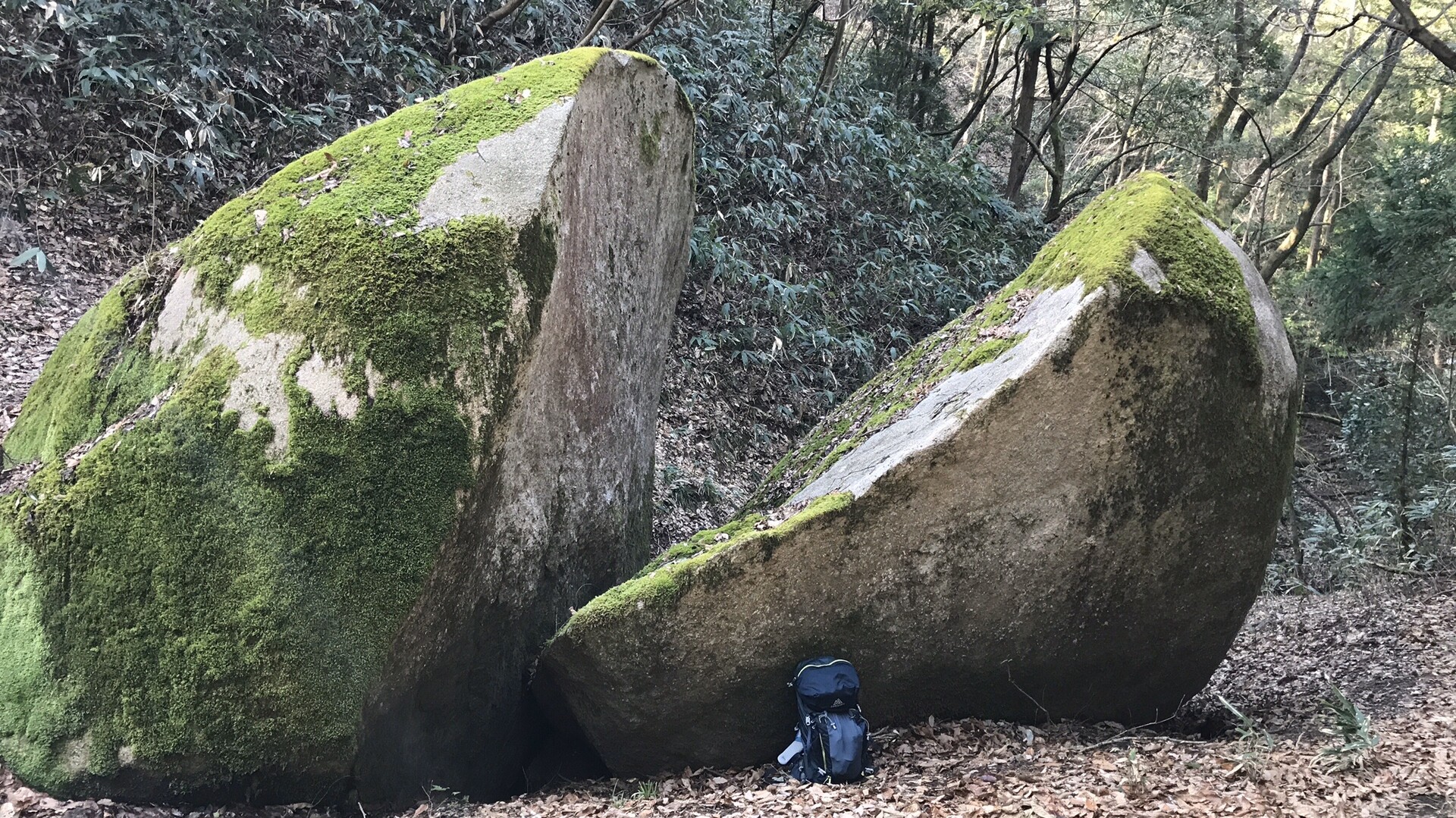 天馬山 割石はでかかった 11 1 ツカッチさんの松江市の活動データ Yamap ヤマップ