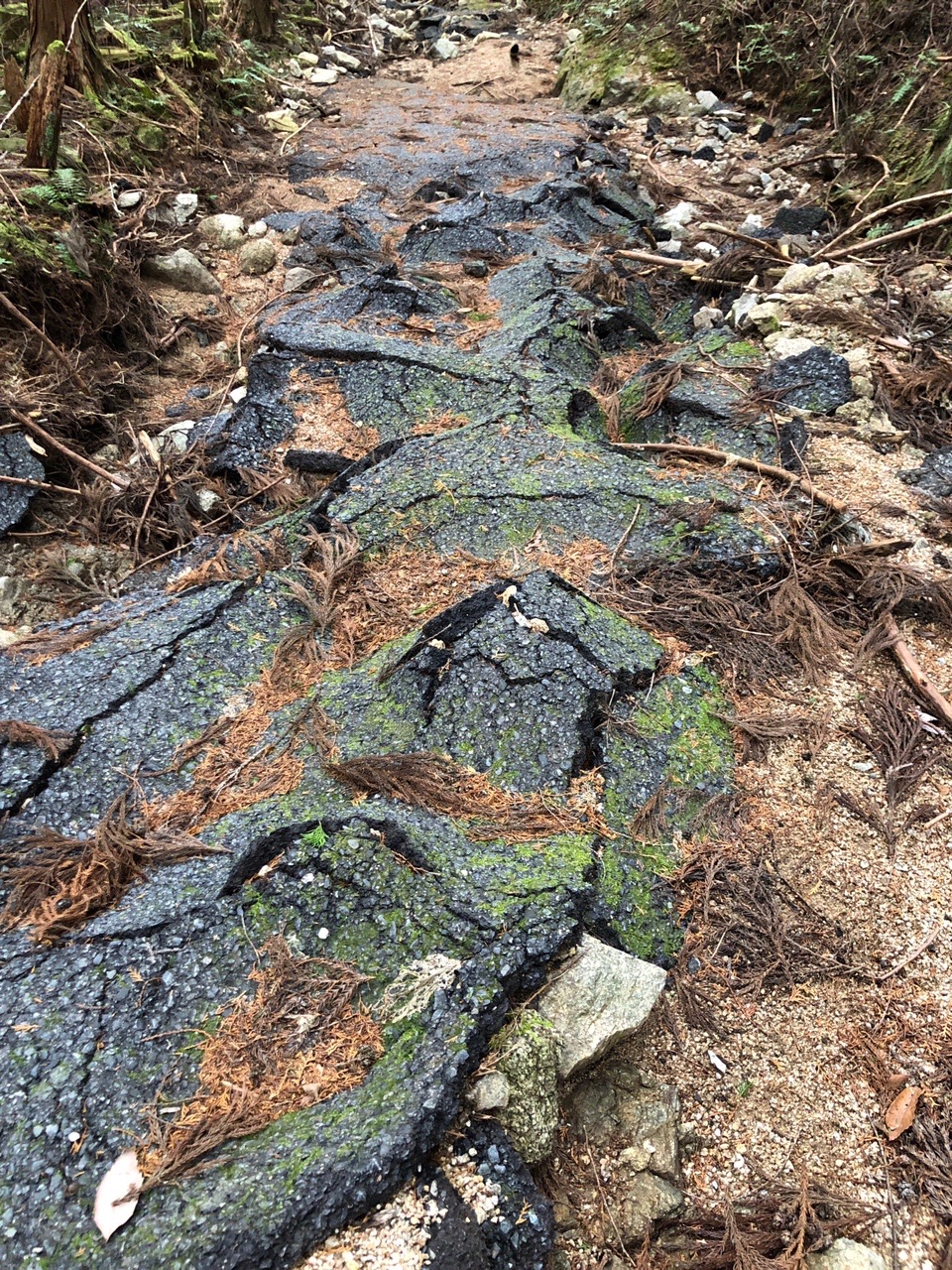 高取山 林道の舗装が破壊されています。