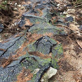 高取山 林道の舗装が破壊されています。