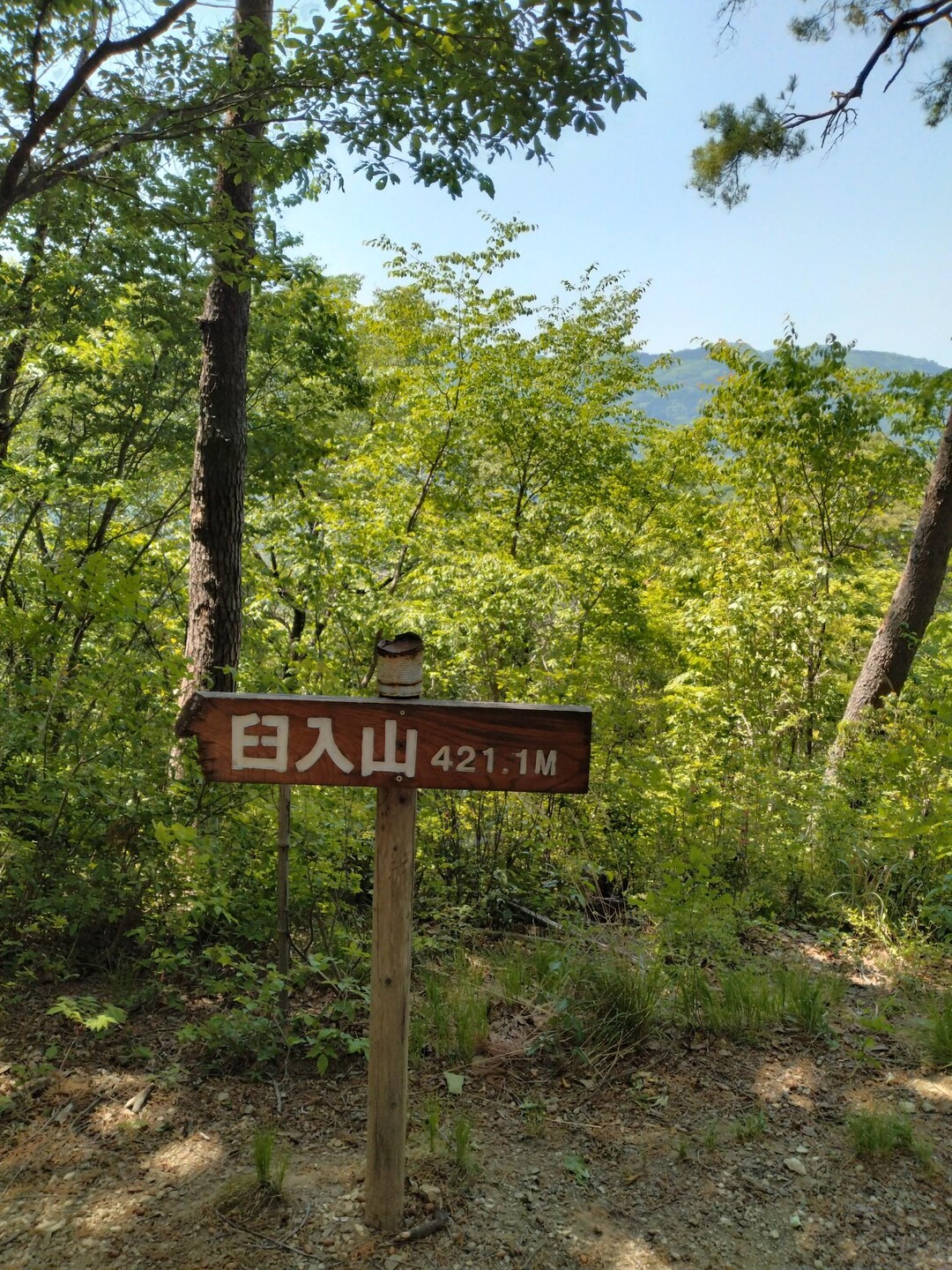 石尊山・官ノ倉山・不動沢の頭・烏森山（虚空蔵山）・天ノ峰・臼入山（細窪山） / チョコさんの官ノ倉山の活動データ | YAMAP / ヤマップ