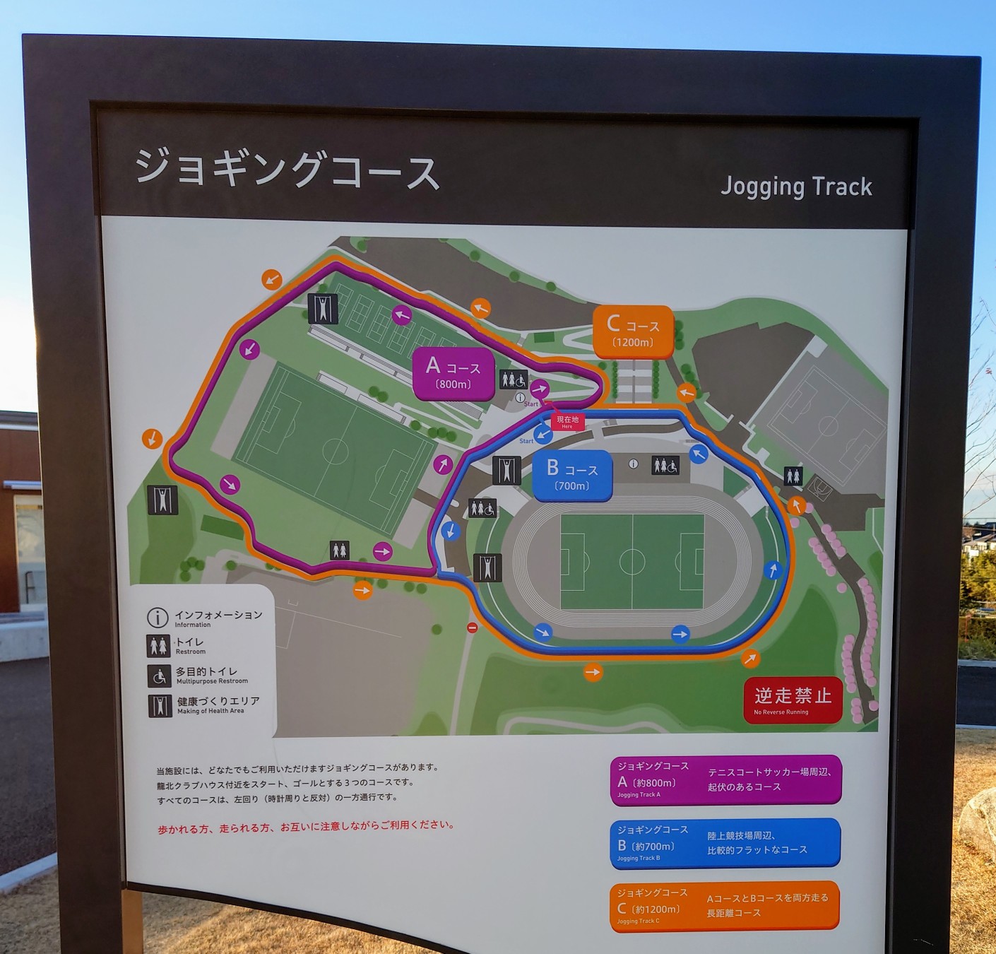 12 21 月 竜美ヶ丘展望 ぁぃ さんのモーメント Yamap ヤマップ