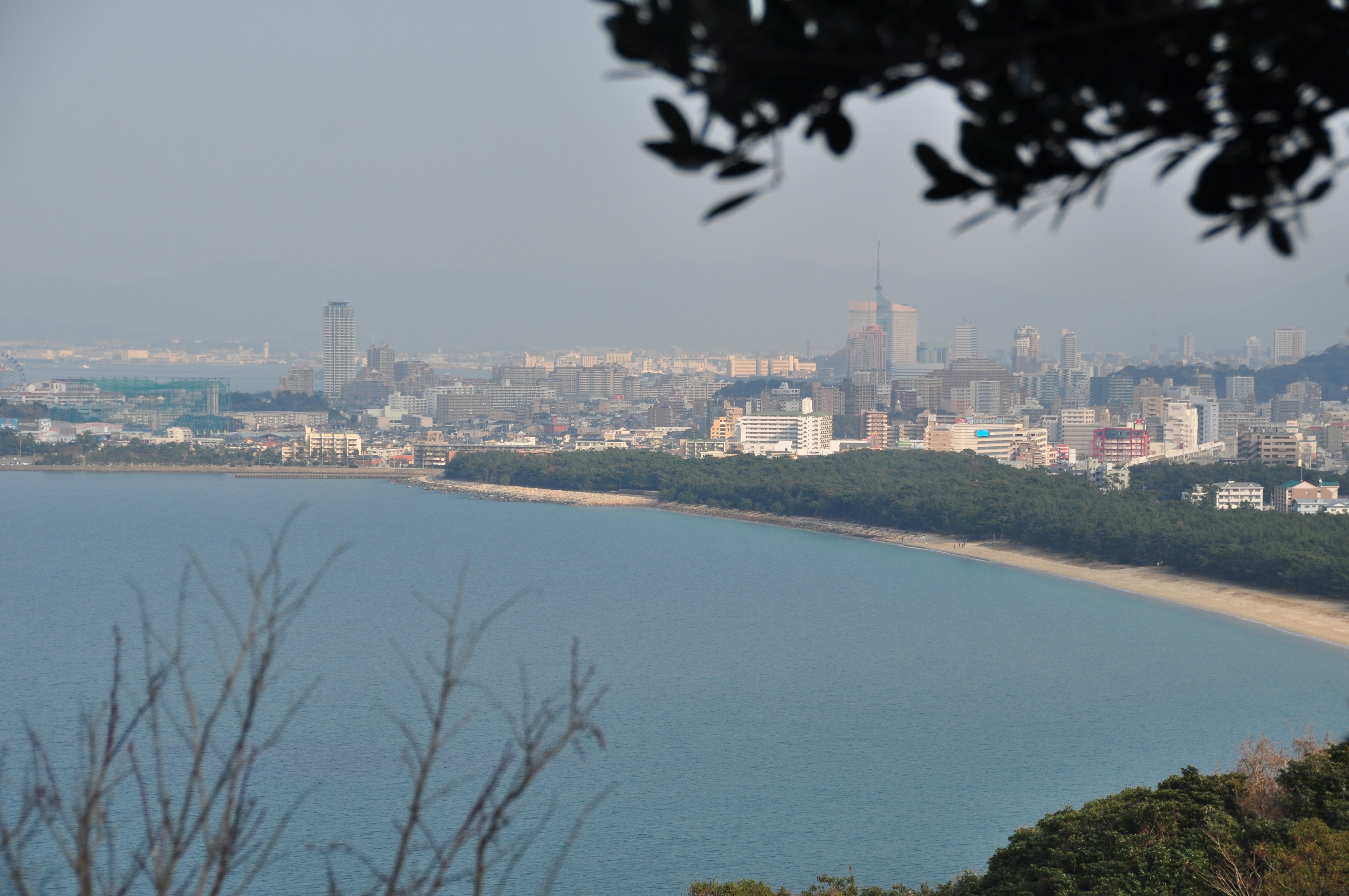長垂山の最新登山情報 人気の登山ルート 写真 天気など Yamap ヤマップ