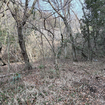 六甲山・長峰山・摩耶山 堰堤上部
