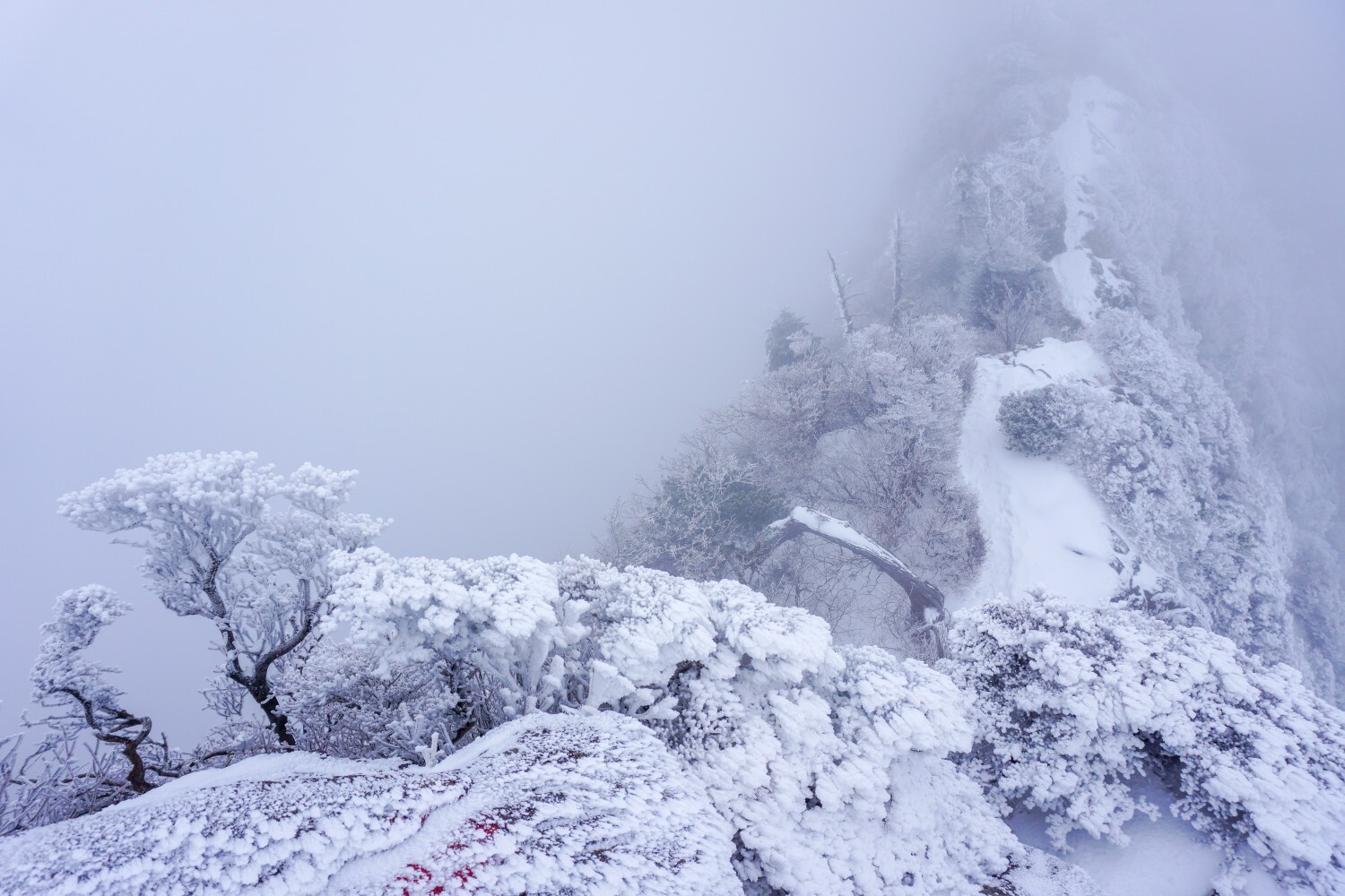 やっぱり石鎚山は神の山 ベレッタさんの石鎚山 堂ヶ森 二ノ森の活動日記 Yamap ヤマップ
