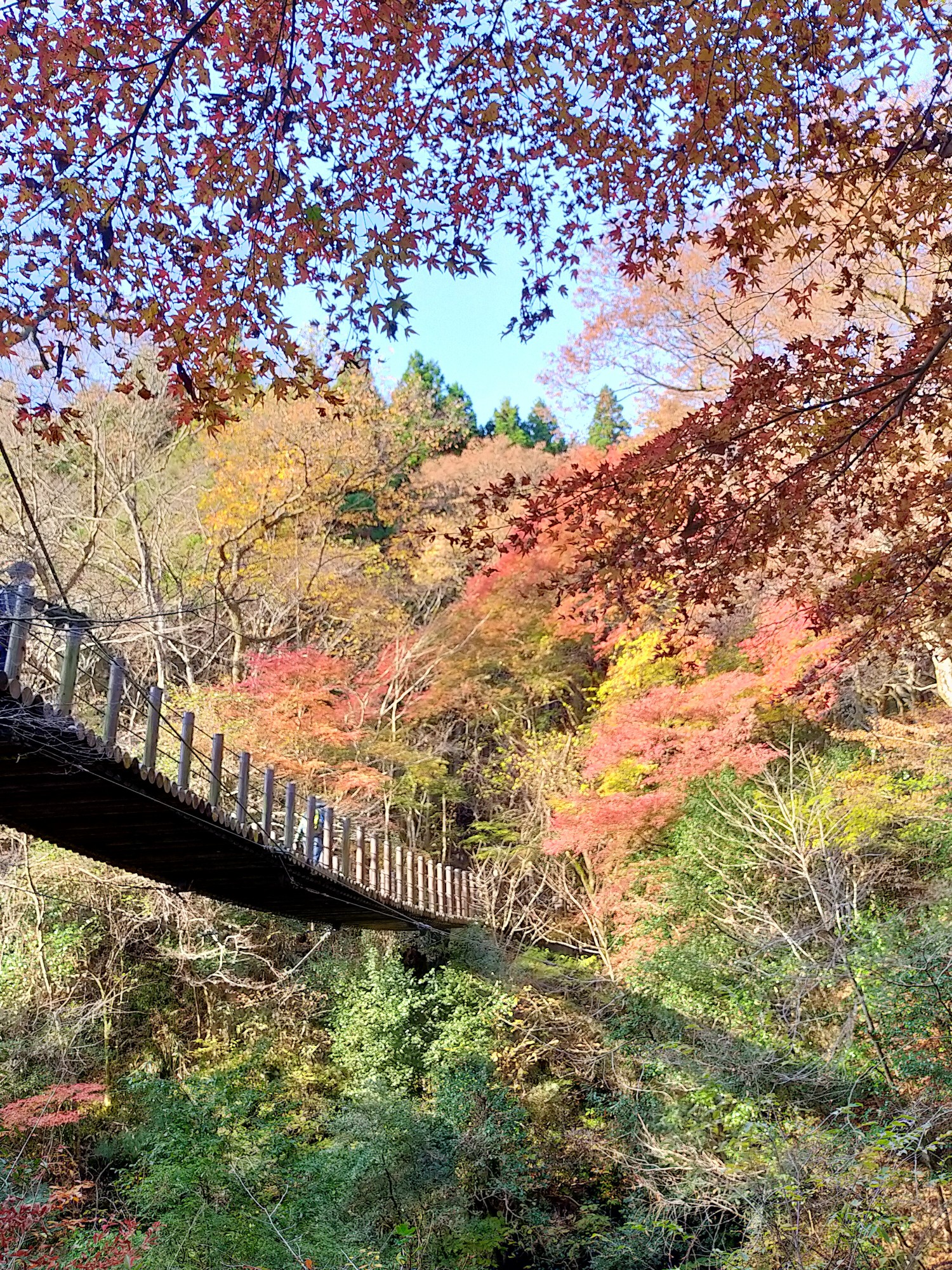 花貫渓谷 土岳に 居残って行ってみた 虎ノ門ニュースさんの土岳 花貫渓谷 竪破山の活動データ Yamap ヤマップ