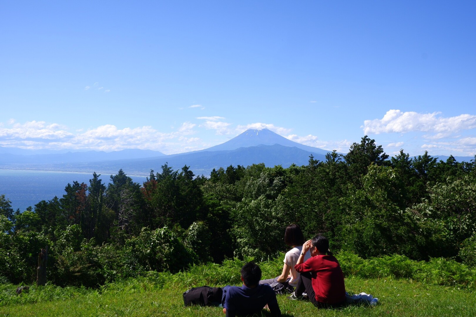 誰もいない伊豆三山 金冠山 達磨山 葛城山の写真30枚目 天気の良い日は外に出て運動しなきゃ Yamap ヤマップ