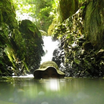 みかみかみかみ