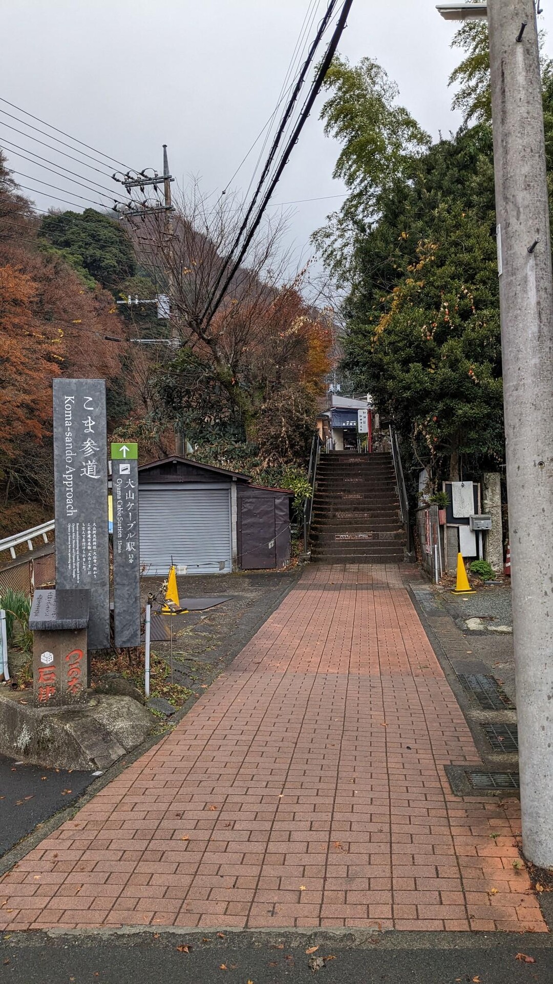 ゆる大山 / とだなさんの大山の活動データ | YAMAP / ヤマップ
