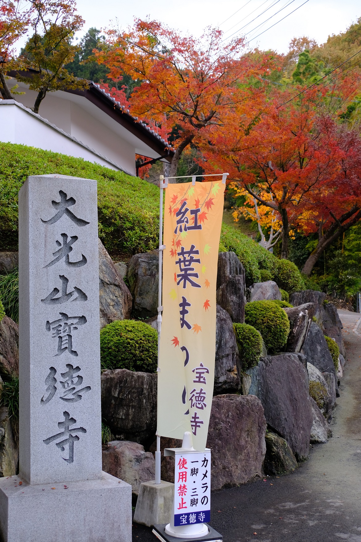 宝徳寺の床もみじ 群馬県桐生市 19 11 25 荘衛さんの荒神山 桐生市 の活動日記 Yamap ヤマップ