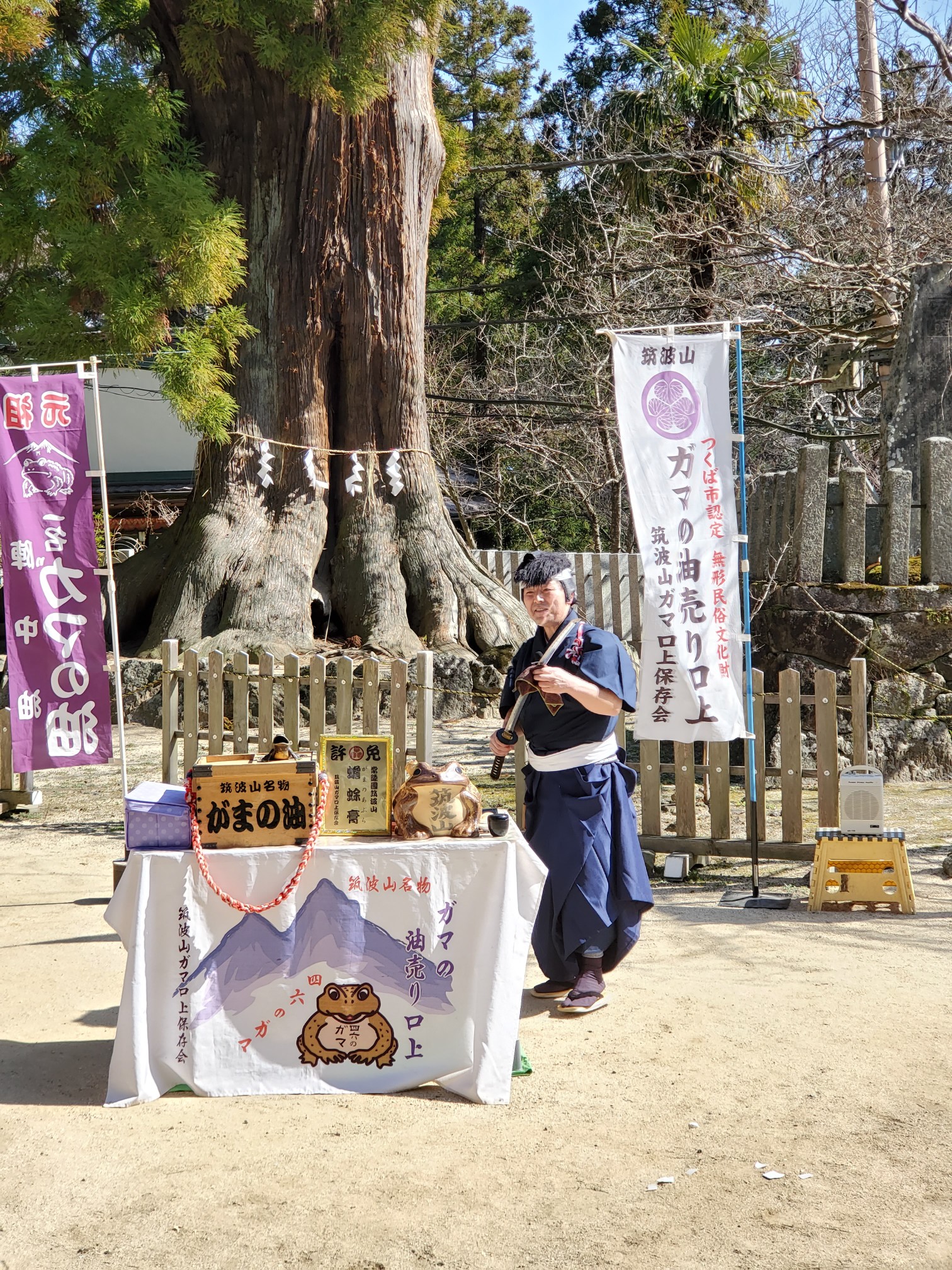 オレの馬鹿アタマはガマの油を塗ってん治らん ムニエルさんの筑波山の活動日記 Yamap ヤマップ
