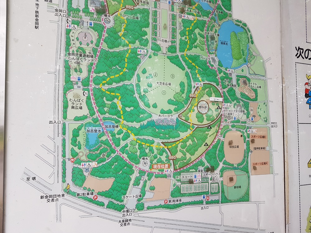 犬散歩 大泉緑地 樹のみち ぐりこさんの堺市の活動データ Yamap ヤマップ