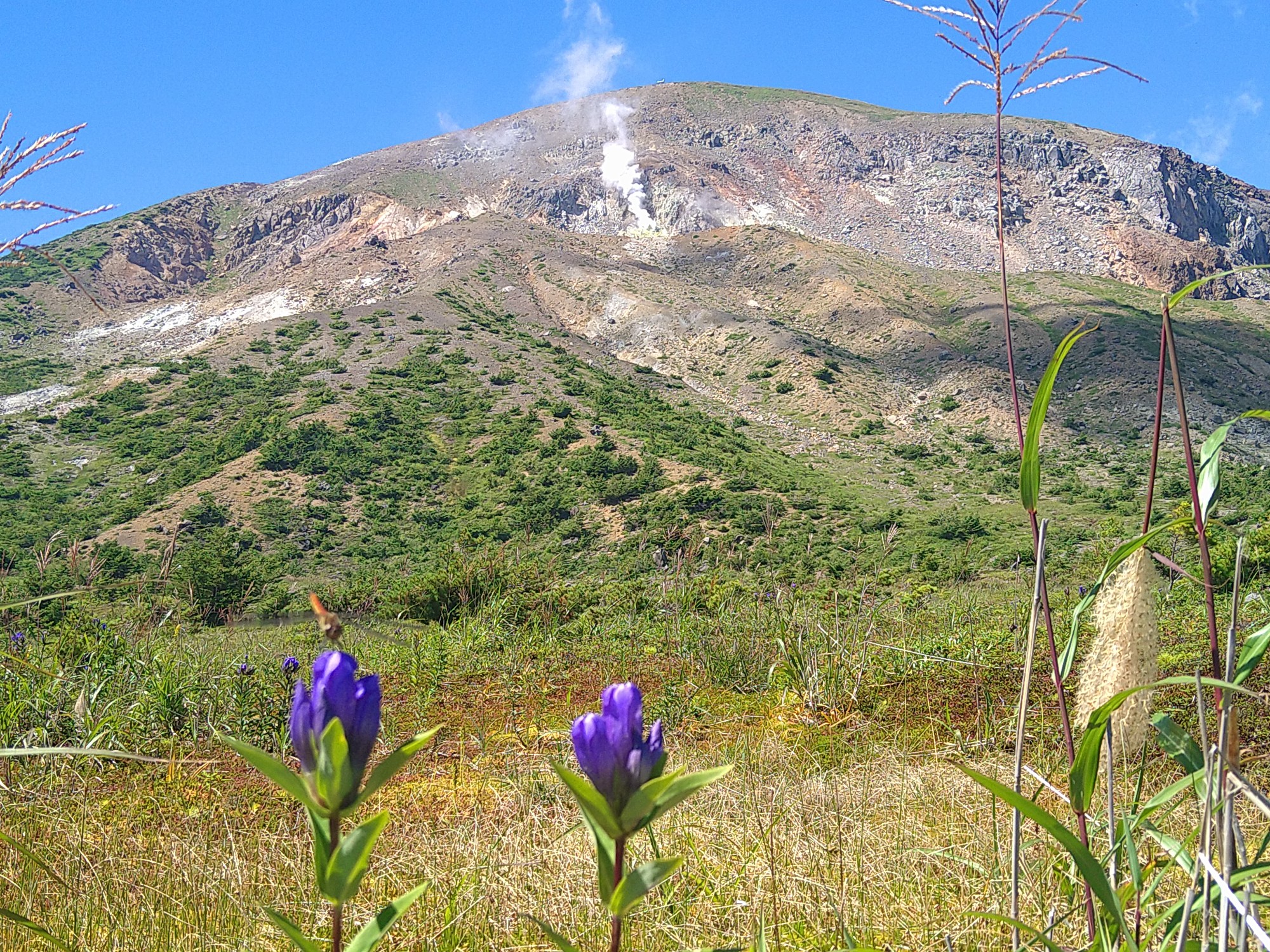 一切経山 鎌沼コース 桜ママさんの吾妻山 一切経山の活動データ Yamap ヤマップ