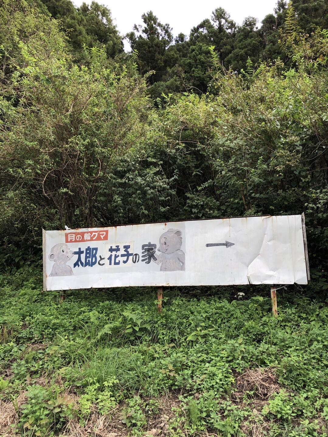 生石高原のススキと太郎に会いに ひろさんの生石ヶ峰 生石高原の活動日記 Yamap ヤマップ