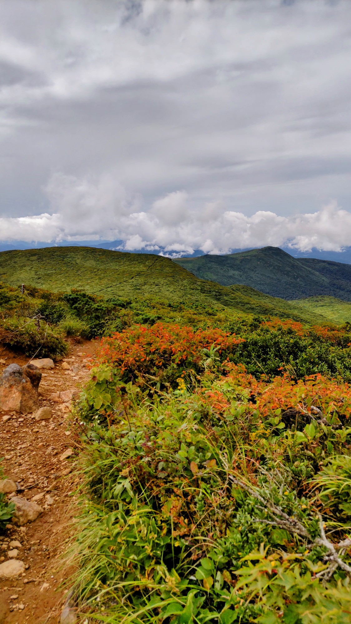 栗駒山 いわかがみ平 天狗平 尺山女魚さんの栗駒山 須川岳 秣岳 虚空蔵山の活動データ Yamap ヤマップ