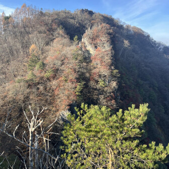 天狗岩からの眺め