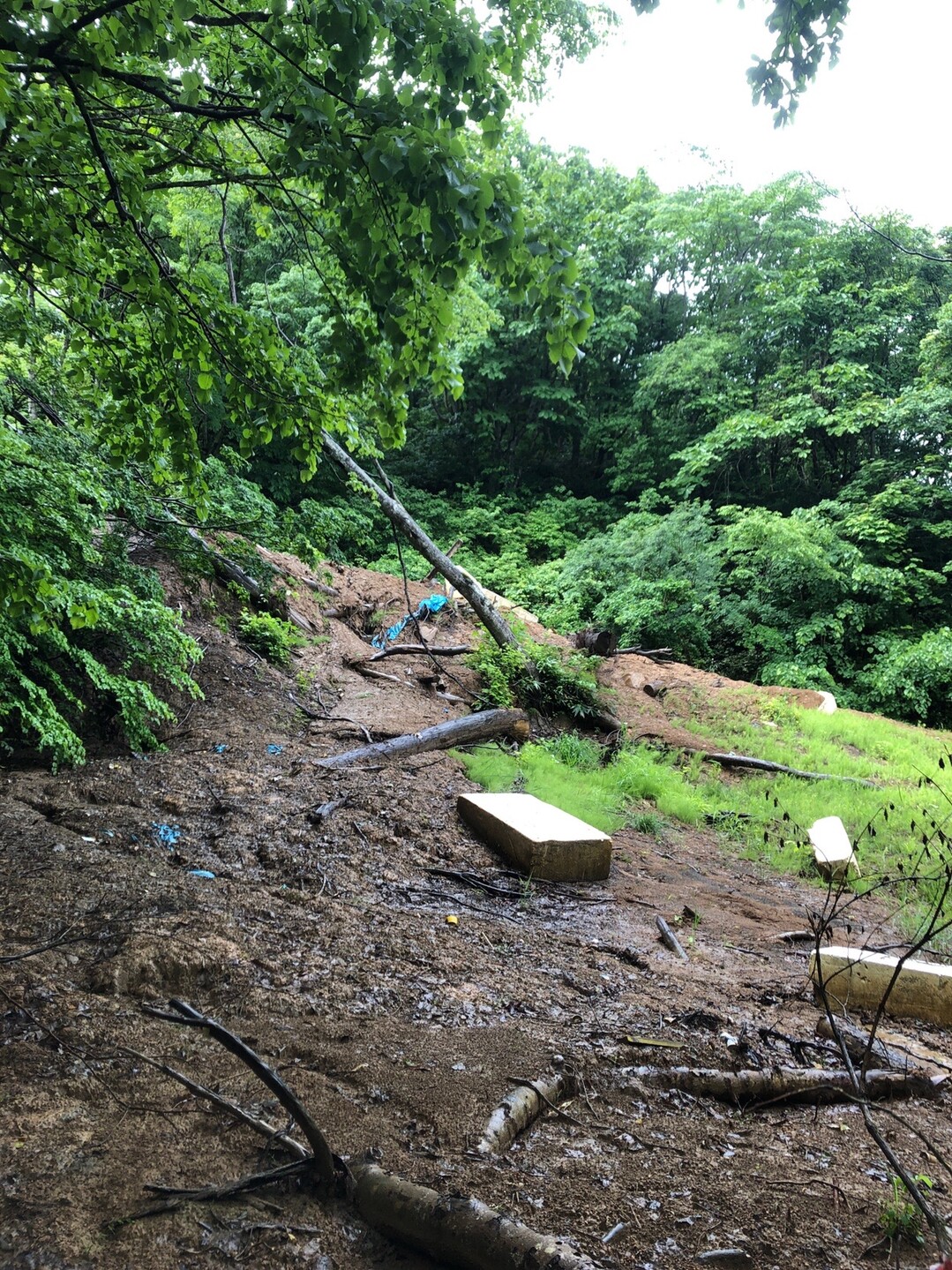 毛無山 大平峰 沼の原湿原 のりさんの斑尾山 信越トレイルその1 希望湖まで の活動日記 Yamap ヤマップ