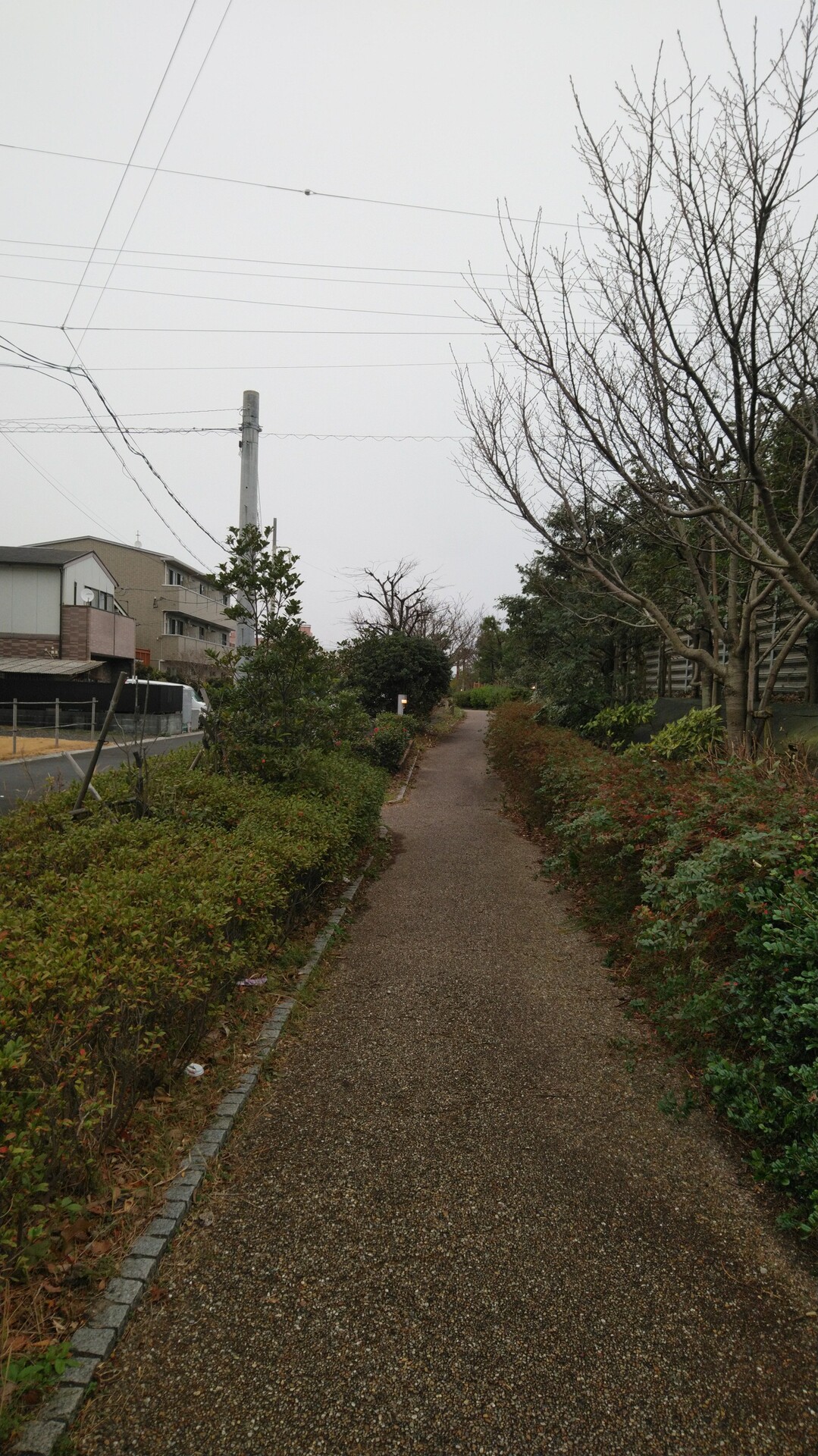 静岡市駿河区久能旧街道を散歩 さあや 藤原智 さんの静岡市 駿河区 の活動データ Yamap ヤマップ