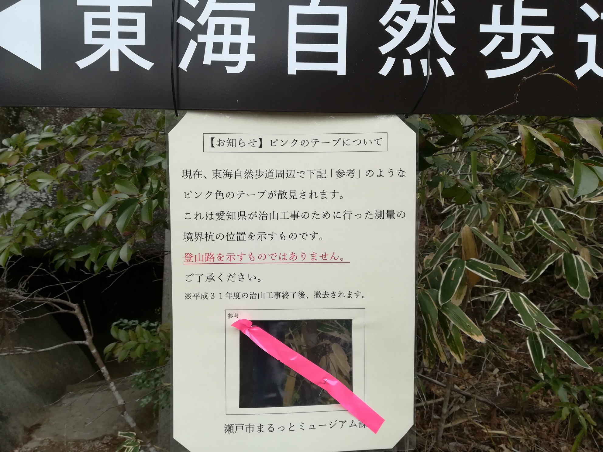雲興寺 岩巣山 なみだあめと共に シルクサロモンさんの猿投山 物見山の活動日記 Yamap ヤマップ