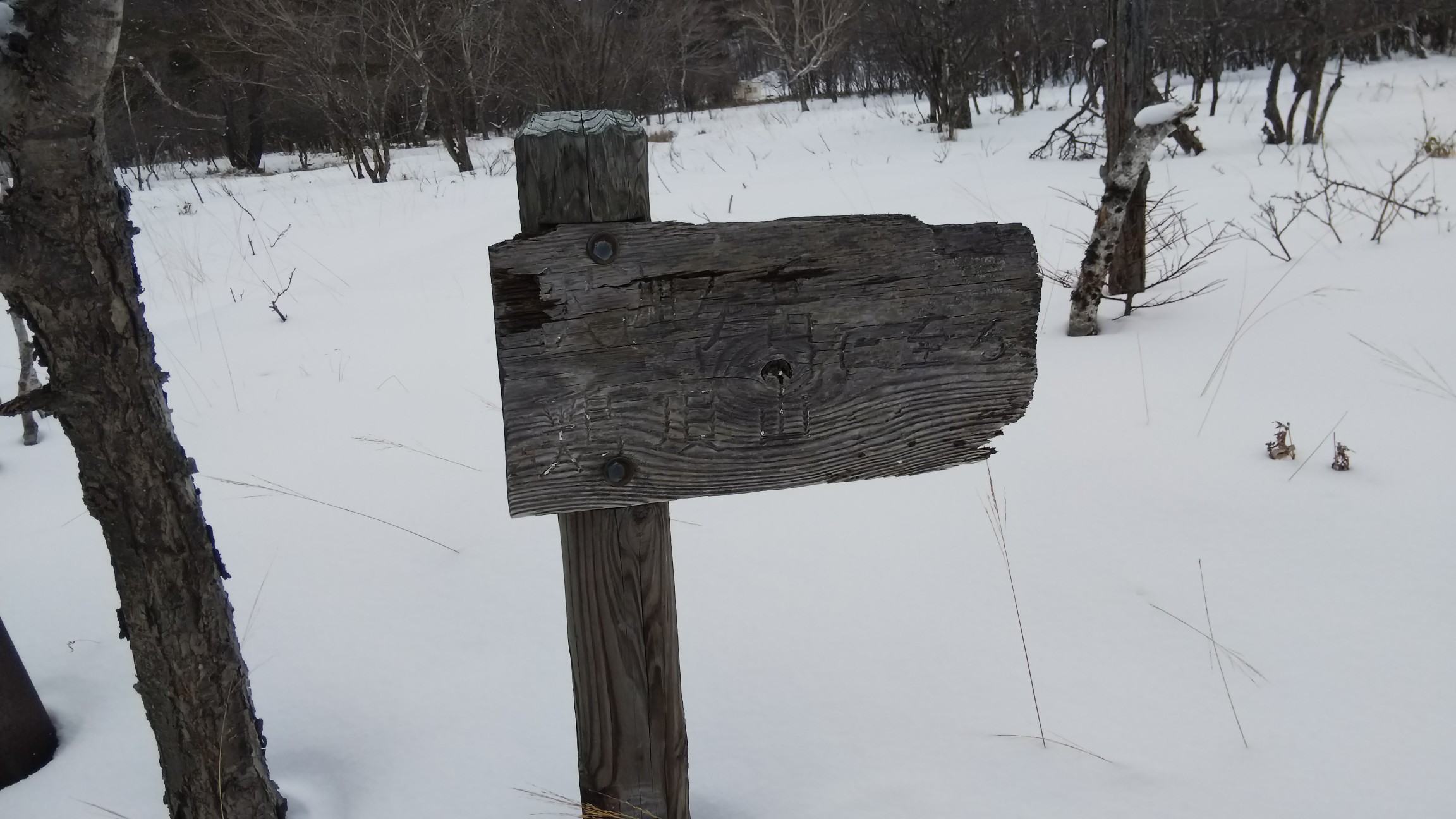 枯木沼の朽ちた道標～