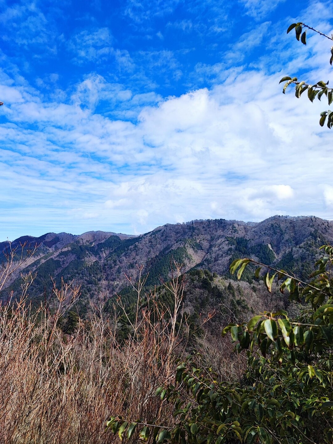 伊之子山・左谷ノ森・魚谷森・南三方ヶ森・白潰 / よなよなくんさんの高縄山・大月山・北三方ヶ森の活動データ YAMAP / ヤマップ