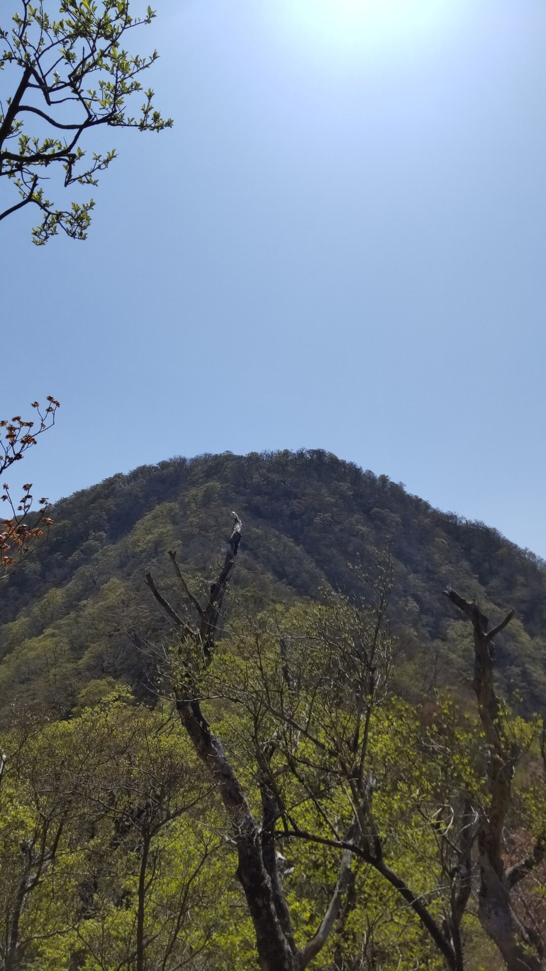 加入道山・前大室・大室山 / ちあぽこさんの丹沢山の活動データ YAMAP / ヤマップ