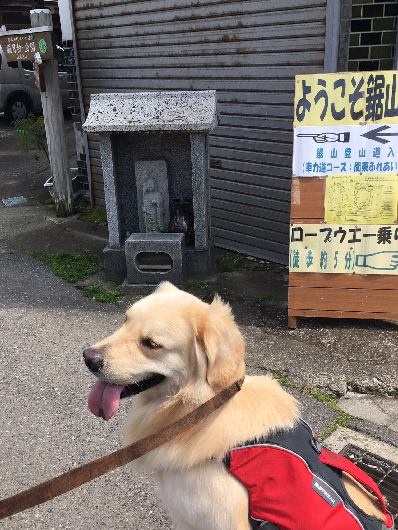 犬とフェリーに乗って鋸山 ムギちゃんさんの鋸山 千葉県 の活動データ Yamap ヤマップ
