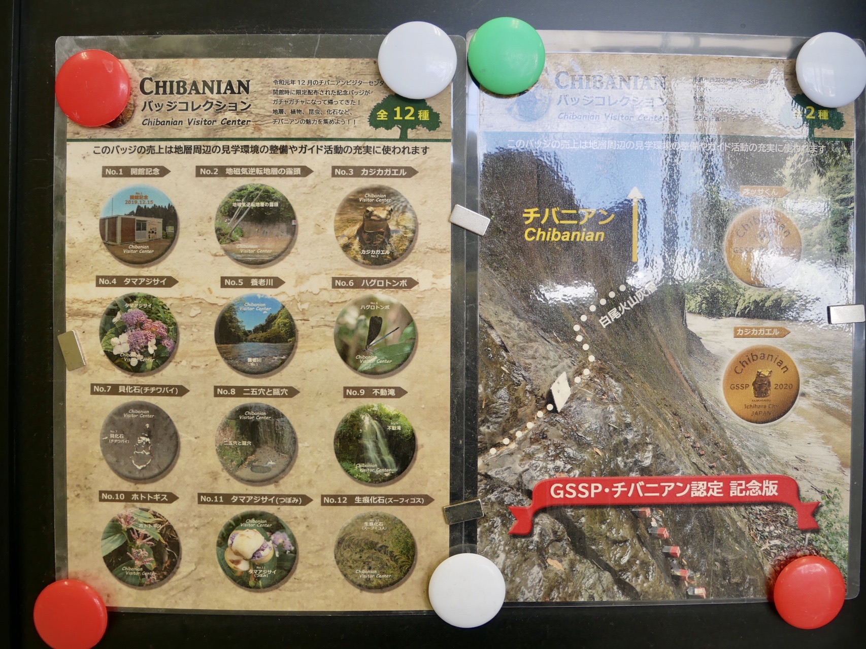 祝 千葉時代 チバニアン 誕生 千葉セクションで感じる近くの大きな地球 三人息子のママさんの大福山 梅ヶ瀬渓谷の活動日記 Yamap ヤマップ