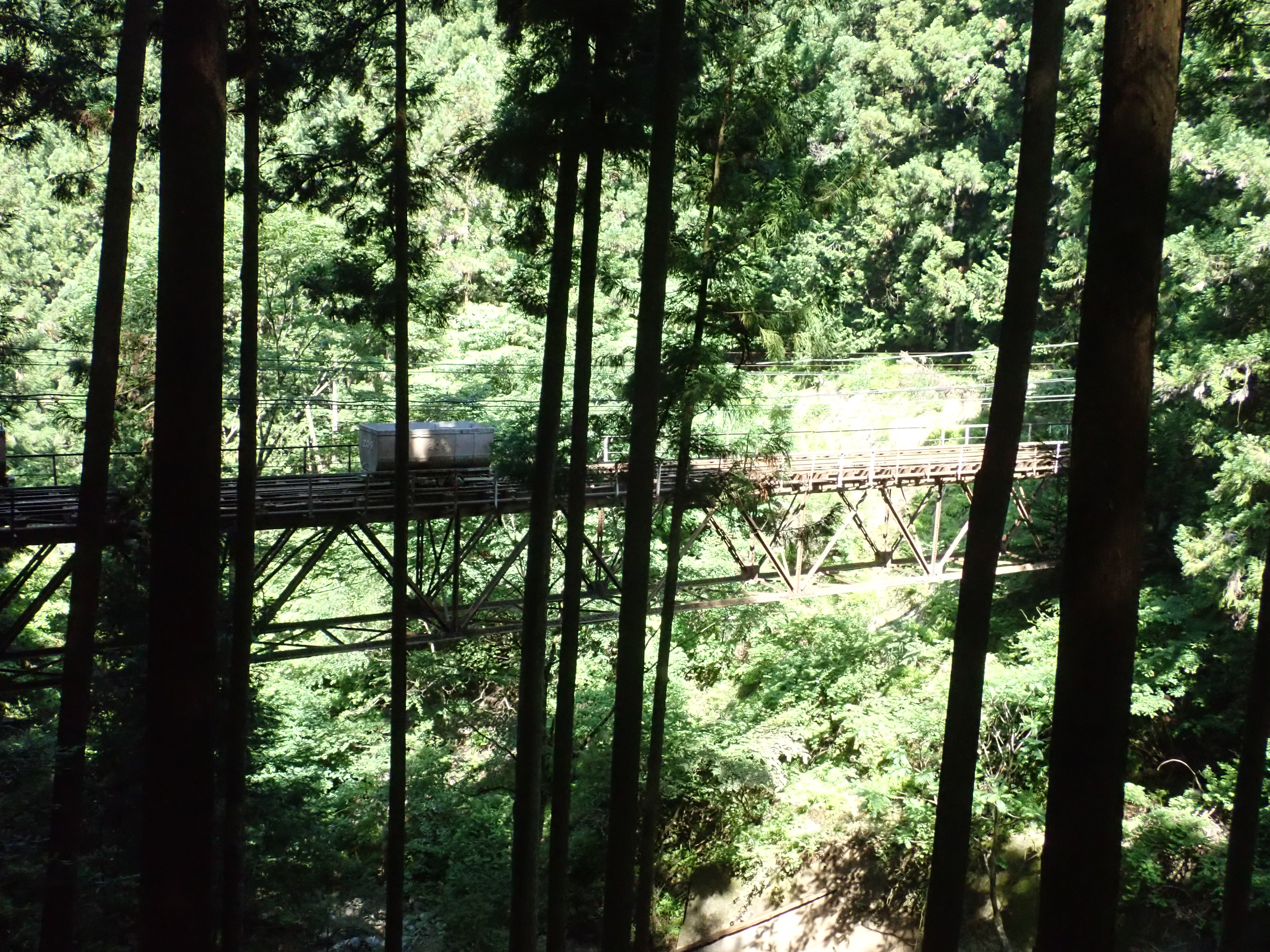 本仁田山 瘤高山 En 奥多摩駅 Ex 鳩の巣駅 にゃんにゃん にょんさまさんの川苔山 川乗山 の活動日記 Yamap ヤマップ