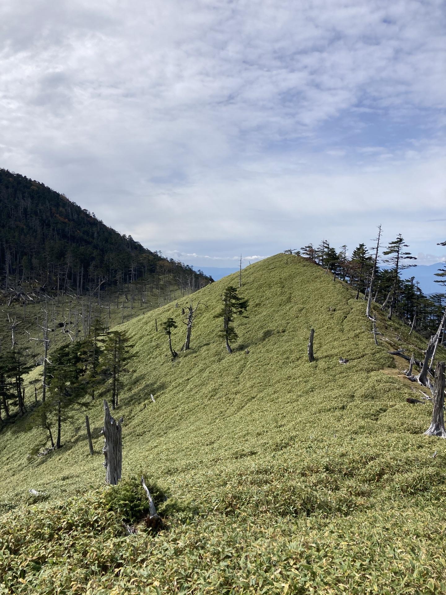 池口岳 無事周回コース / じゅんさんの池口岳・加加森山・光岳の活動データ YAMAP / ヤマップ