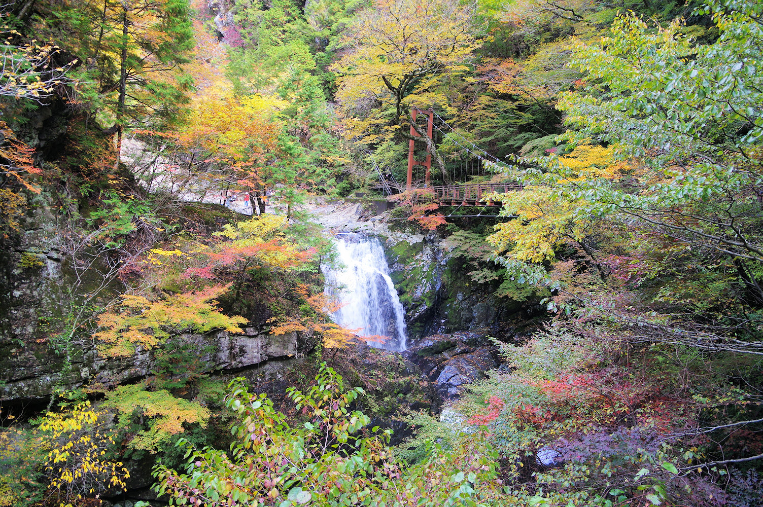 みたらい渓谷紅葉散策 Yuuさんのウォーキングの活動データ Yamap ヤマップ