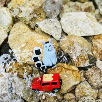落下したジムニートミカ🚗
師匠の『磯辺海苔男』くんと水遊び🛟
泥まみれでしたが綺麗になりました〜🤣