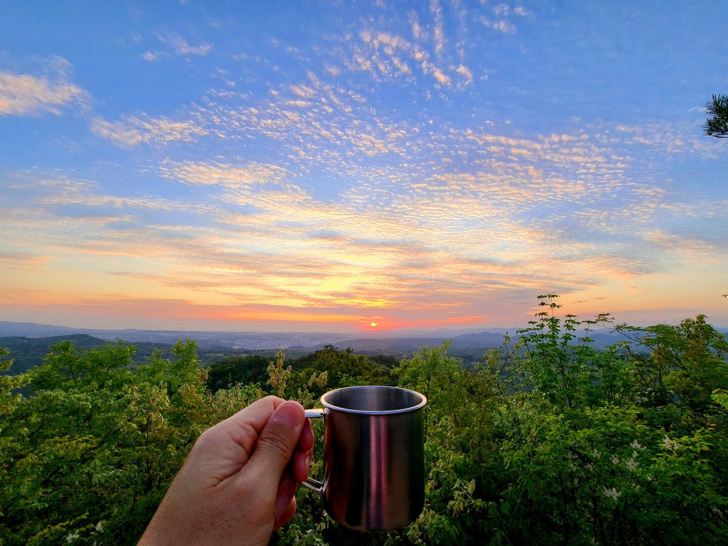 クリープをいれないコーヒーなんて やすさんの大岩岳の活動データ Yamap ヤマップ