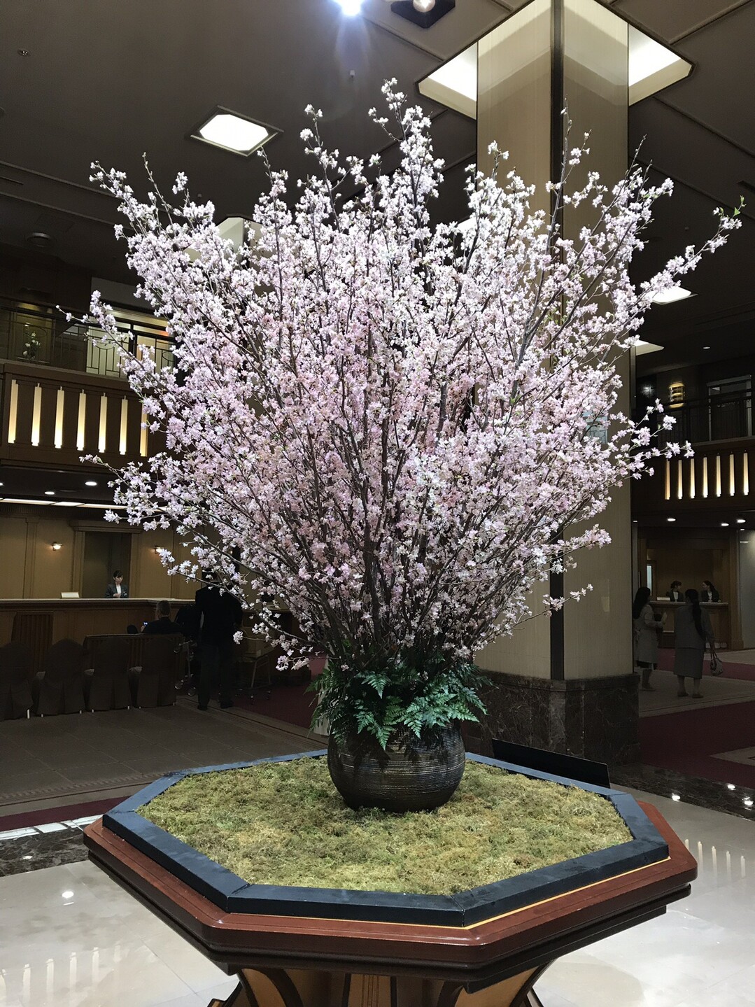 帝国ホテル お濠端を千鳥ヶ淵公園へ 東京都23区 西エリアの写真1枚目 帝国ホテルロビーの桜 この時期は桜の生け Yamap ヤマップ