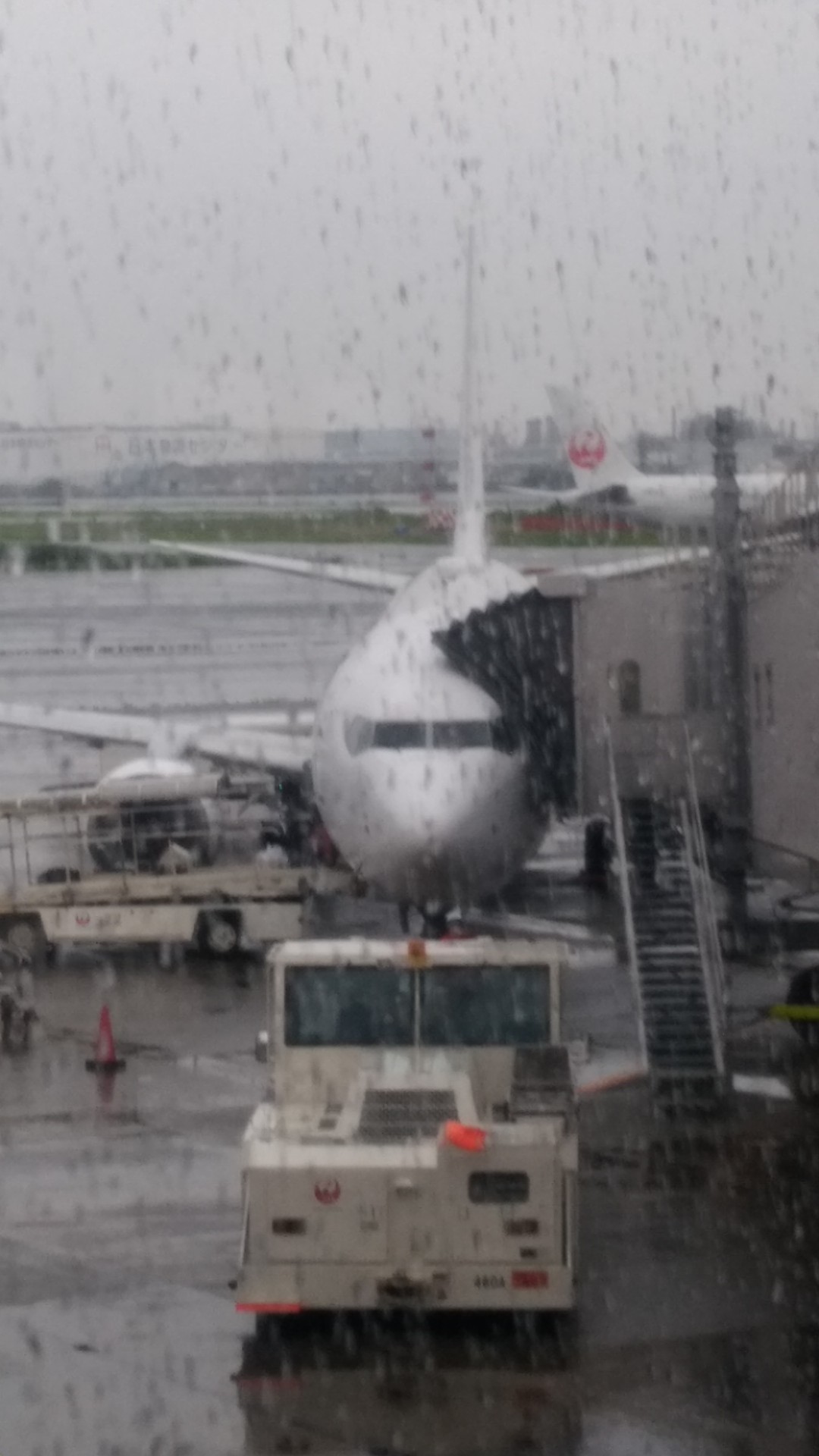 羽田空港から長崎空港へ 21 07 08 ひじりさんの稲佐山の活動日記 Yamap ヤマップ