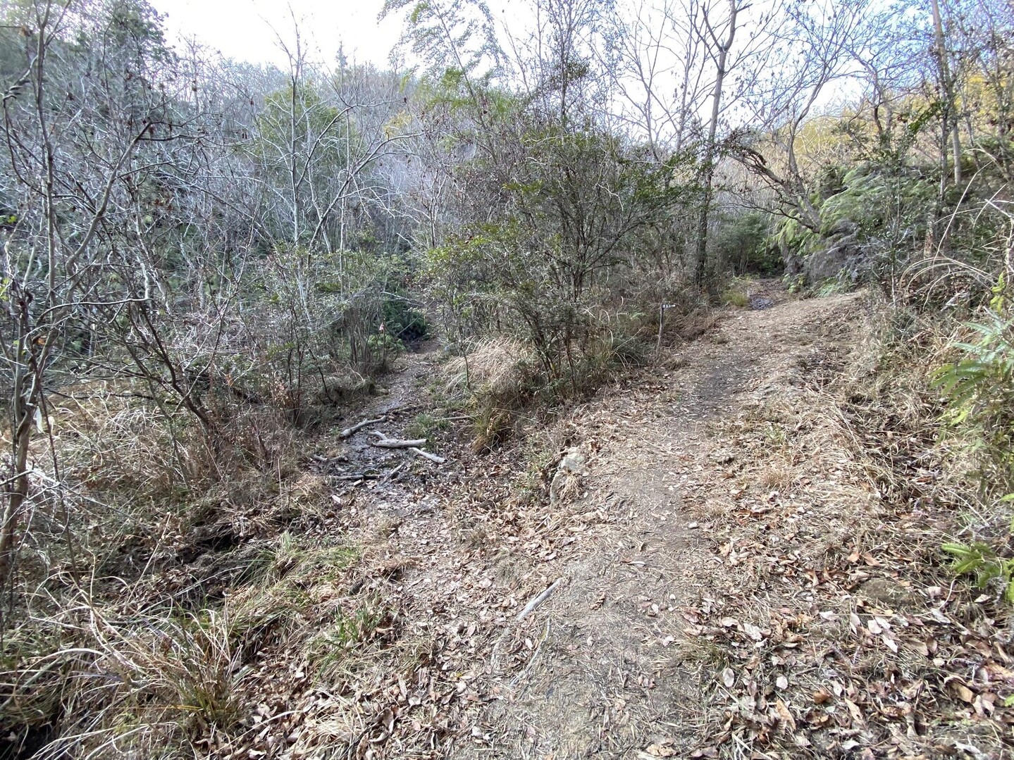 岩国アルプス縦走⛰藤生駅S岩国駅Gの写真