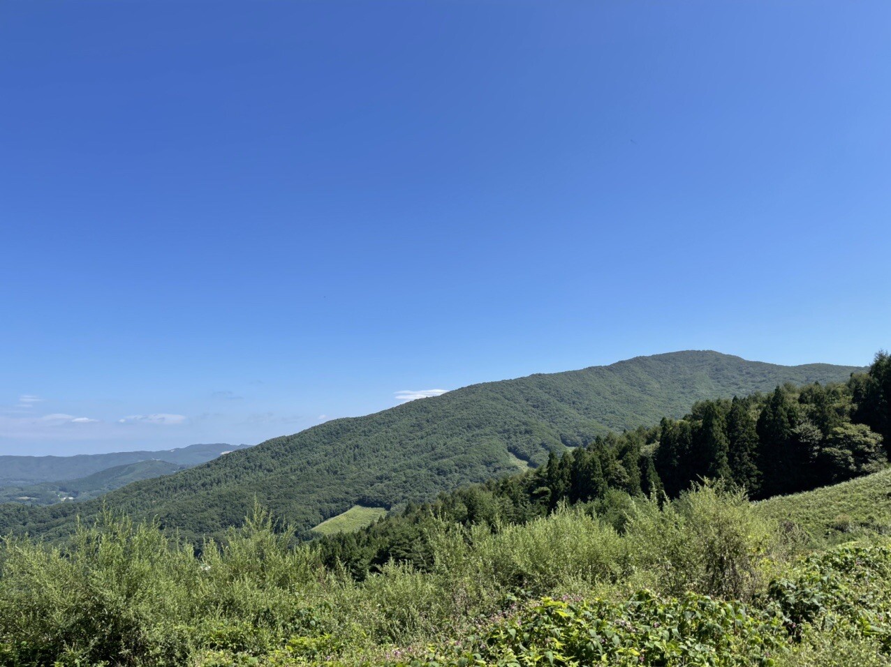 日山（天王山）の最新登山情報 / 人気の登山ルート、写真、天気など