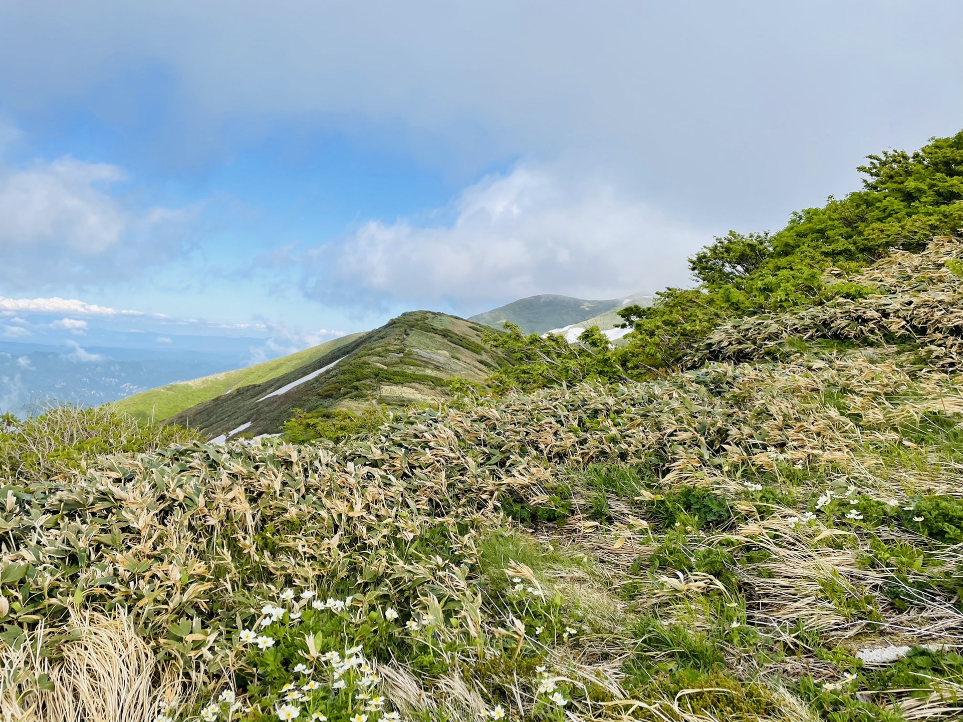 エブリは明日行けたら行く。
大石でテント張って、明日はタモギ小屋メインで行こう。
エブリ行けるかどうかはそれから考えよう。