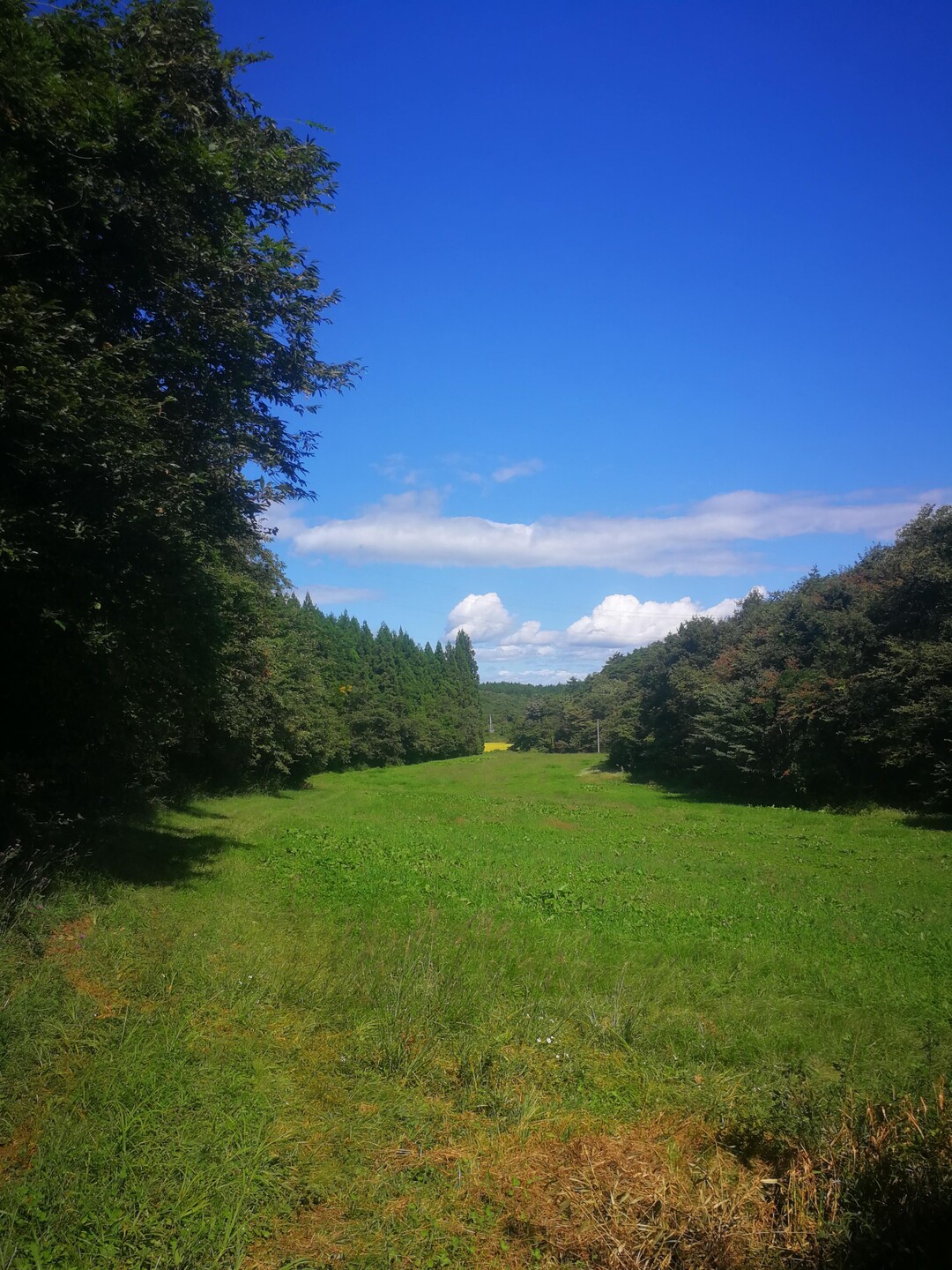 奥州道中17 宮野 一ノ関 09 28 チョビ04さんのウォーキングの活動日記 Yamap ヤマップ