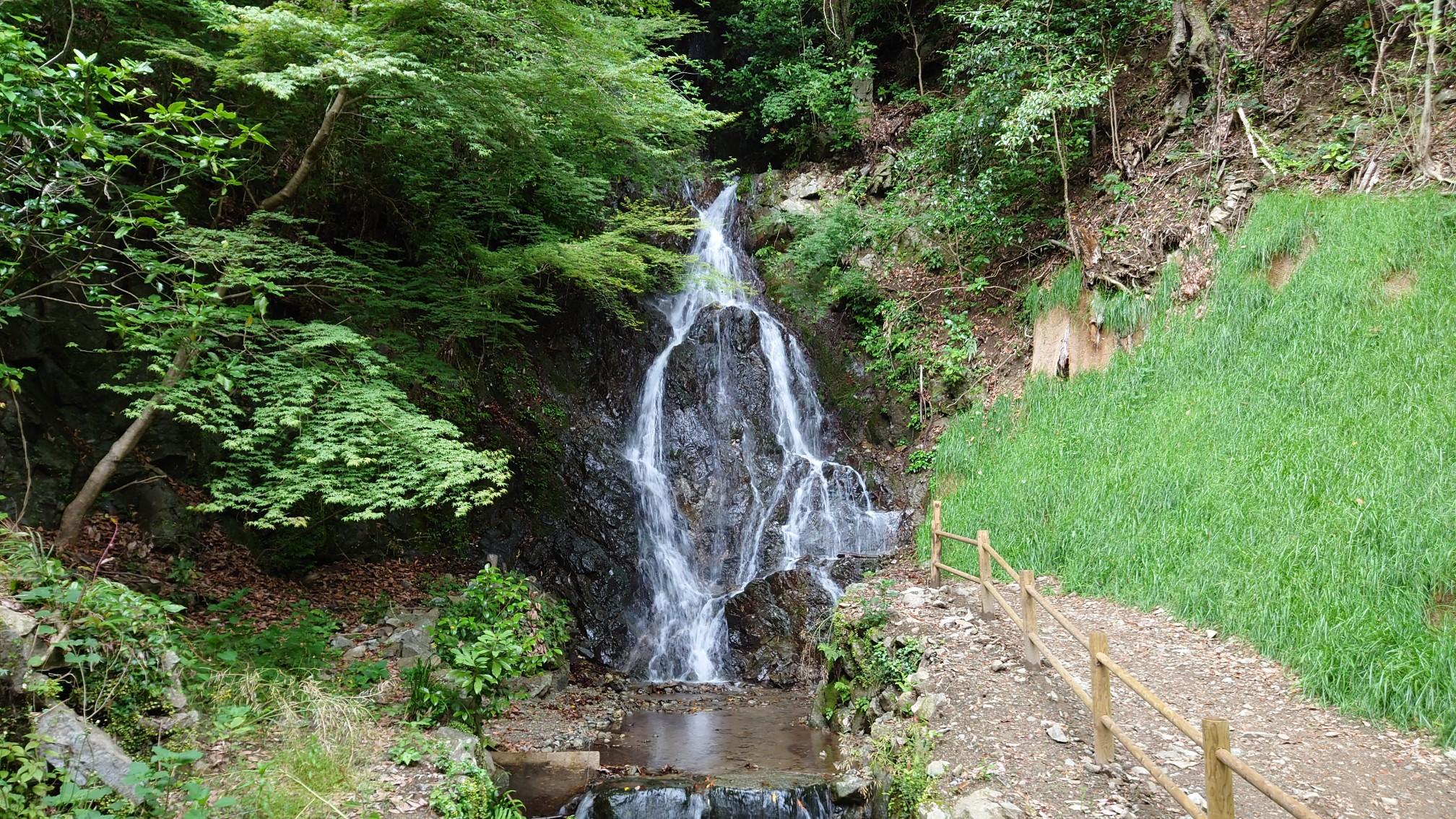 滝 ばいぱー on X: 