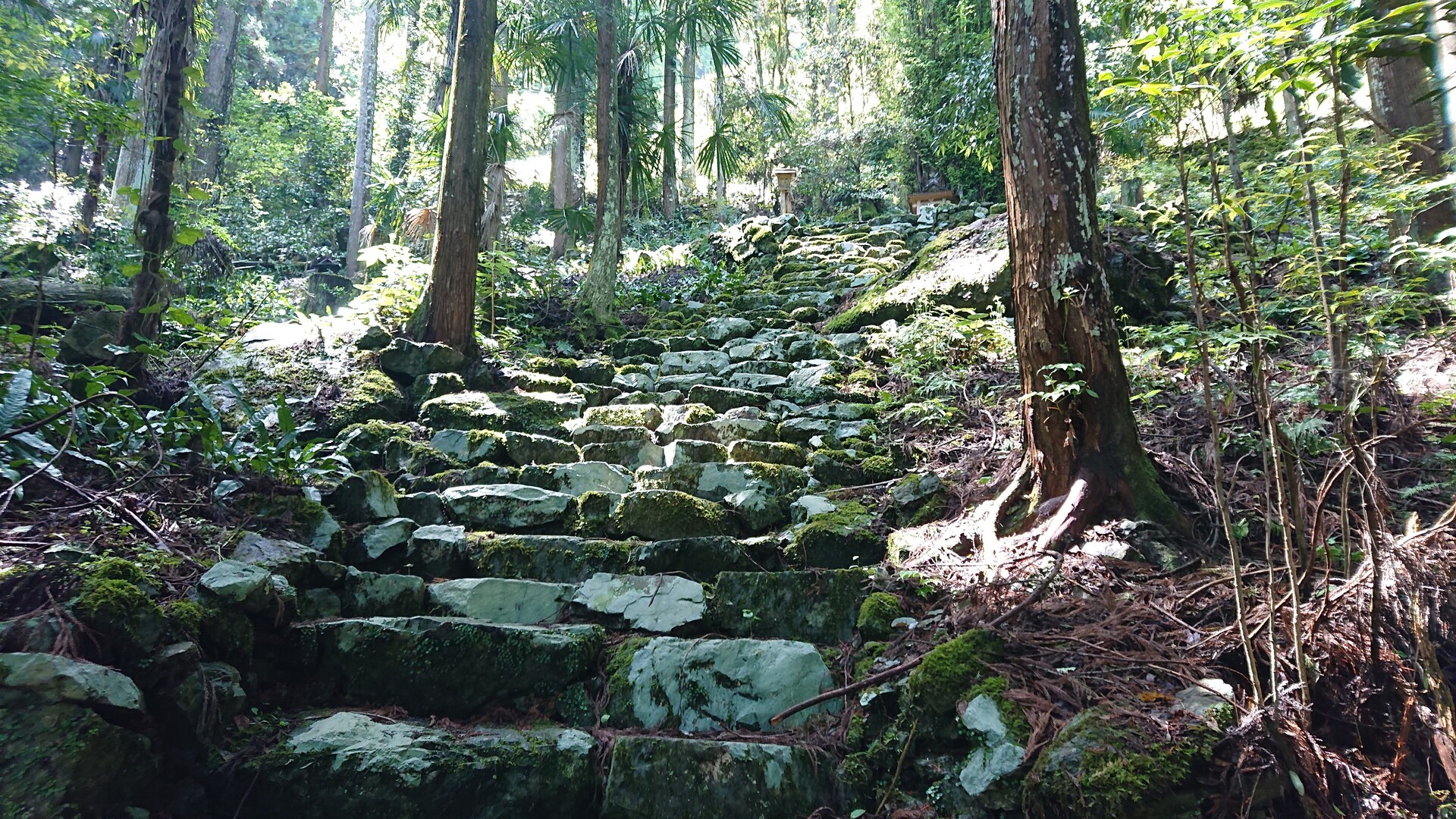 黒河道～高野山20210430 / ちはるさんの高野参詣道（高野山・楊柳山・雨引山）の活動データ YAMAP / ヤマップ