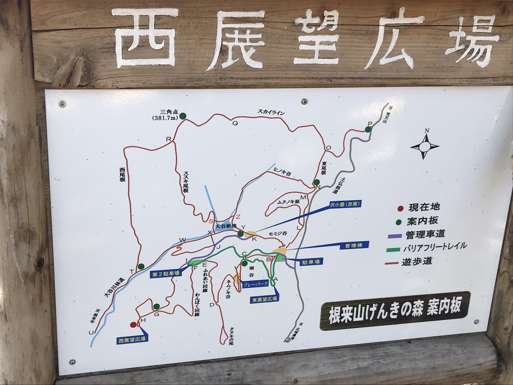 根来寺から出発 げんきの森ハイキングコース 2019 11 10 Yukakoさんの龍門山 飯盛山の活動データ Yamap ヤマップ