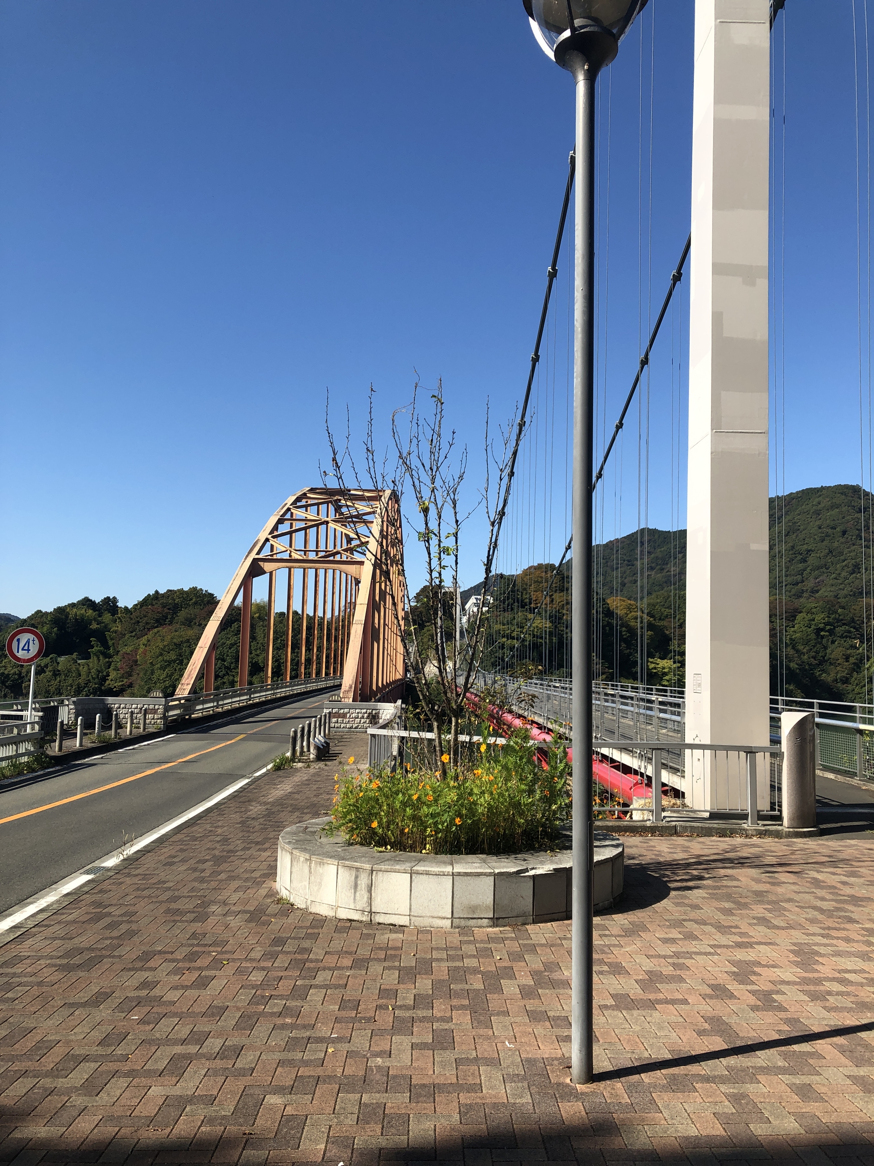 津久井湖と城山ダム 三井大橋 11 05 カズさんのウォーキングの活動データ Yamap ヤマップ