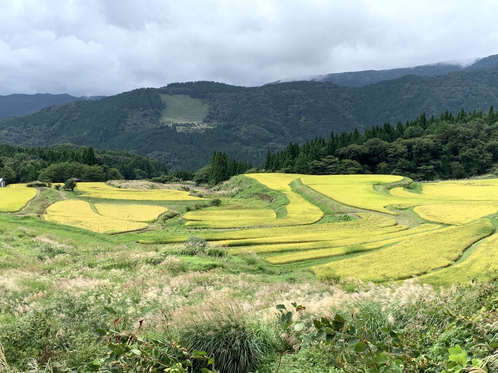 別宮の棚田 鉢伏山へドライブ Aochiさんの氷ノ山 須賀ノ山 鉢伏山 瀞川山の活動データ Yamap ヤマップ